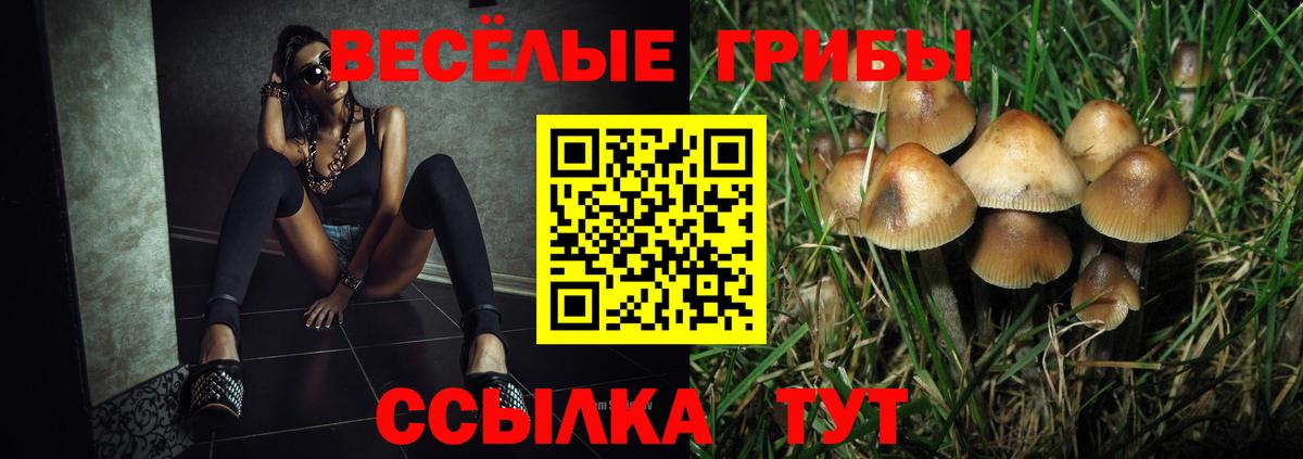 Белебей  купить наркоту  Галлюциногенные грибы GOLDEN TEACHER  Вход с VPN  Галлюциногенные грибы прущие грибы 